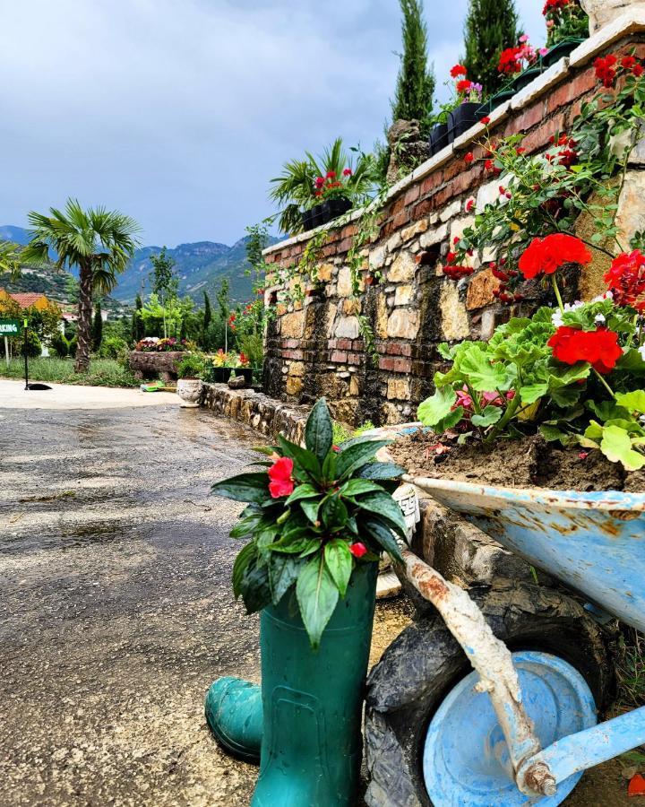 Guesthouse Lord Byron Tepelene Luaran gambar